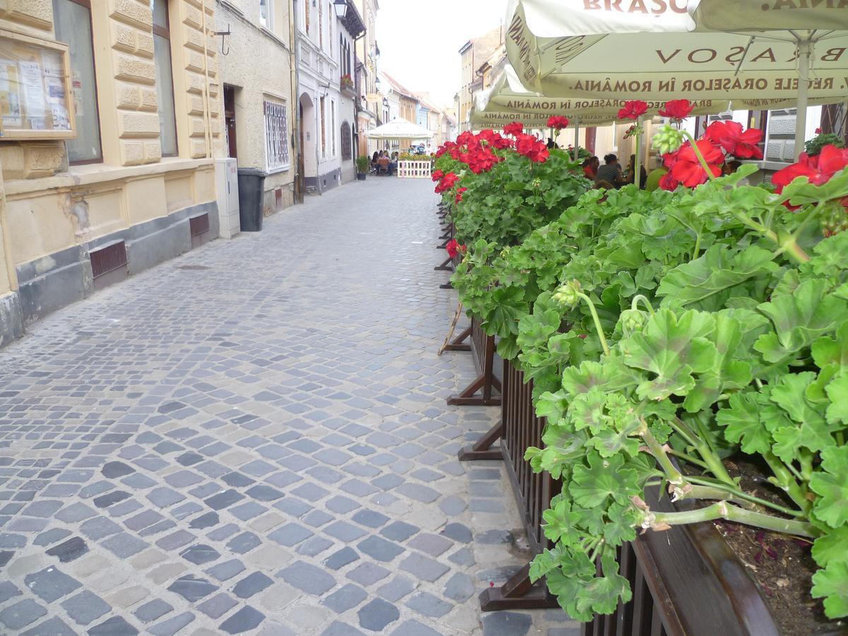 Guesthouse Postavarului Brașov Exterior foto